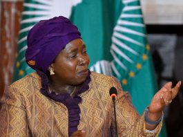 Union africaine : Dlamini-Zuma ne brigue pas de deuxième mandat