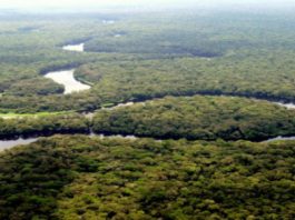 BRAZZAVILLE ACCUEILLE LA TROISIÈME RÉUNION SUR LES TOURBIÈRES