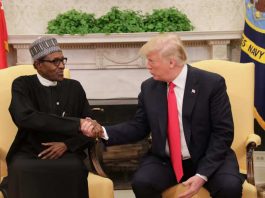 TRUMP LOUE LE RÔLE DU NIGERIA DANS LA LUTTE ANTI-TERRORISTE