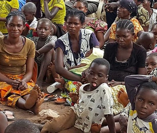 LE PAM ET LA FAO LANCENT UN PROJET DE SOUTIEN AGRICOLE