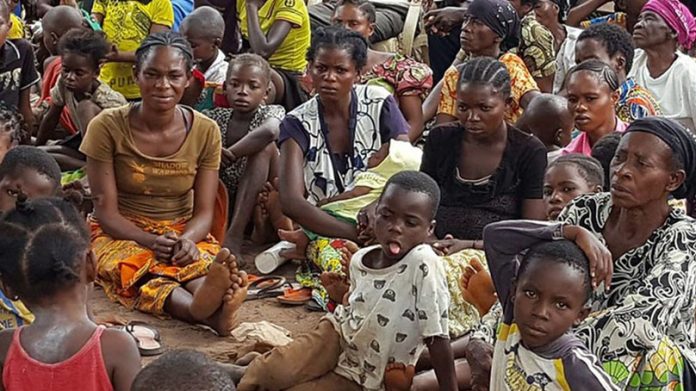 LE PAM ET LA FAO LANCENT UN PROJET DE SOUTIEN AGRICOLE - Afrique ...