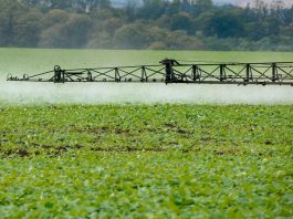 LE GROUPE OCP S’OFFRE 20% DU CAPITAL DE L’ESPAGNOL FERTINAGRO