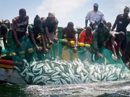 LES PÊCHEURS SÉNÉGALAIS AUTORISÉS À TRAVAILLER DANS LES EAUX DE LA MAURITANIE