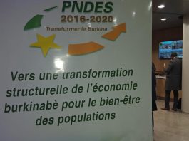 PRÈS DE 80% DES ACTIFS TRAVAILLENT DANS LE SECTEUR AGRO-SYLVO-PASTORAL