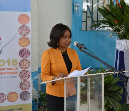 AGRICULTURE : LE CONGO SE DOTE D’UN NOUVEAU PLAN DIRECTEUR