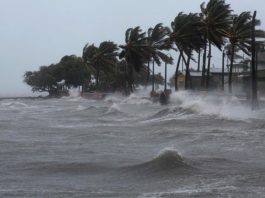 UN CLIMAT ENCORE PLUS CHAUD POUR LES 5 PROCHAINES ANNÉES