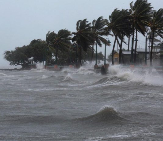 UN CLIMAT ENCORE PLUS CHAUD POUR LES 5 PROCHAINES ANNÉES