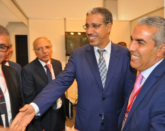 LE MAROC INVESTIRA PLUS DE 40 MILLIARDS DE DOLLARS DANS LE SECTEUR DE L’ÉNERGIE