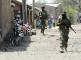 L’ARMÉE NIGÉRIANE VEUT DÉLOGER LES TERRORISTES DE BAGA