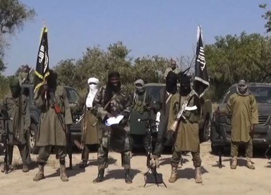 TERRORISME : UNE NOUVELLE ATTAQUE DE BOKO HARAM FAIT 10 MORTS AU NIGER