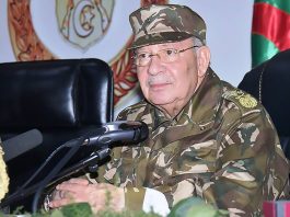 CRISE POLITIQUE : L’ARMÉE ALGÉRIENNE APPELLE AU DIALOGUE