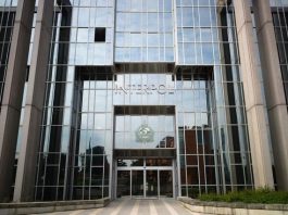 INTERPOL : EST-CE LA POLICE DES POLICES ?