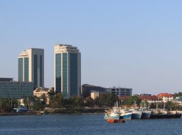 Covid-19 : la Tanzanie refuse de « sacrifier » son économie
