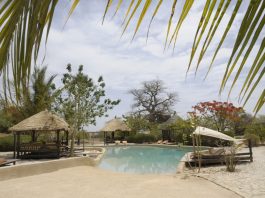 Covid-19 et soutien aux acteurs touristiques : le Sénégal déroule son plan de résilience