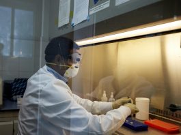 Plus de 1,3 million de personnes guéries du Coronavirus dans le continent