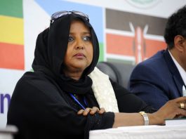 Direction de l’OMC, la Kényane Amina Mohamed obtient le soutien de l’EAC