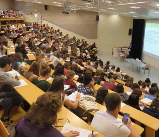 Enseignement de l’informatique : L’Égypte et l’Afrique du Sud, leaders en Afrique