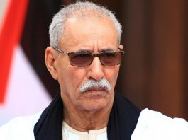 Affaire Brahim Ghali, un général espagnol révèle les dessous de l’entrée illégale du Chef du Polisario