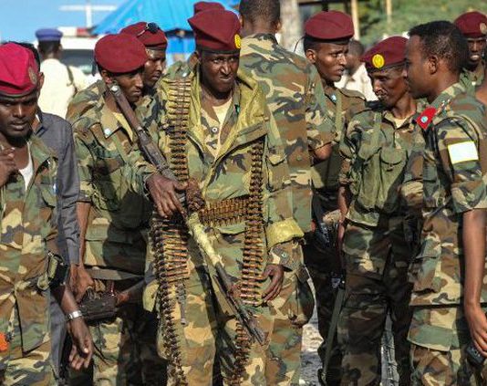 L’armée élimine 9 terroristes d’Al-Shabab dans le Sud