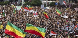 Manifestations dans tout le pays contre l’ingérence étrangère et le soutien aux rebelles dans le conflit avec le Tigré