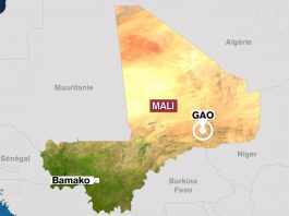 Des centrales syndicales lancent un appel de désobéissance civile dans la région de Gao