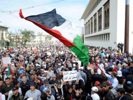 Guerre Israël/Hamas : du Caire à Bagdad, le monde arabe manifeste pour Gaza