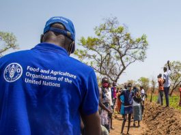 LA SADC et la FAO mobilisent 2,1 milliards USD pour transformer l’agriculture