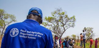 LA SADC et la FAO mobilisent 2,1 milliards USD pour transformer l’agriculture