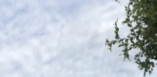 Deux interviews, deux arrestations : le test démocratique sénégalais