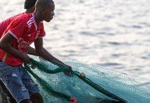 Économie bleue : la Côte d’Ivoire lance avec la FAO un projet de 29 millions d’euros