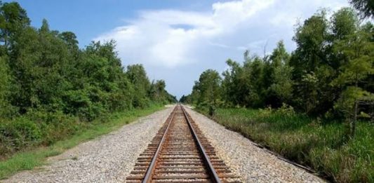 Cameroun-Tchad: Le train qui divise deux pays au lieu de les unir