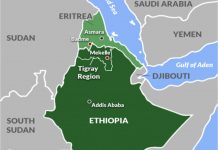 Éthiopie-Érythrée : la Corne de l’Afrique peut-elle éviter le retour de la guerre ?