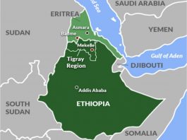 Éthiopie-Érythrée : la Corne de l’Afrique peut-elle éviter le retour de la guerre ?