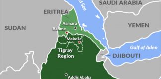 Éthiopie-Érythrée : la Corne de l’Afrique peut-elle éviter le retour de la guerre ?