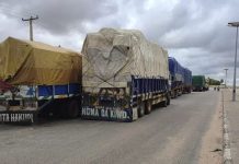 Le Niger et le Bénin négocient la réouverture de leur frontière commune