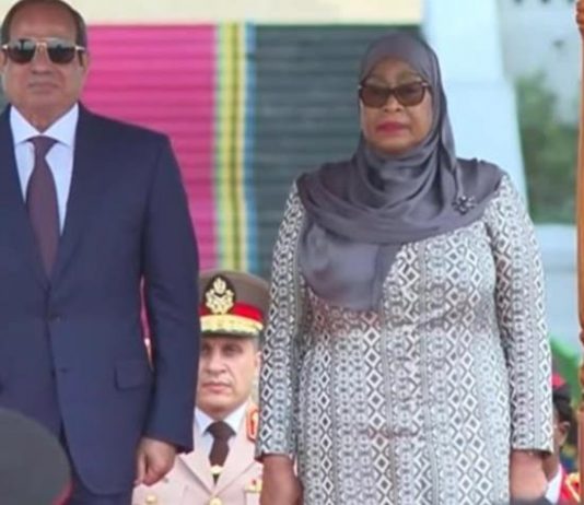 Égypte-Tanzanie : Du Nil à l’océan Indien, l’axe secret que dessine Le Caire