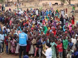 Réfugiés soudanais : le Tchad au bord de la saturation